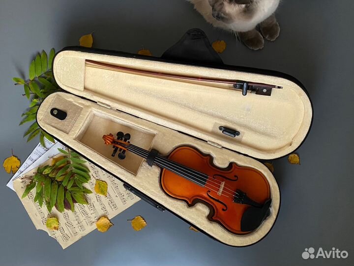 Скрипка 1/8