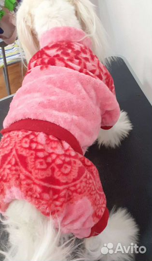 Комбинезон для собак