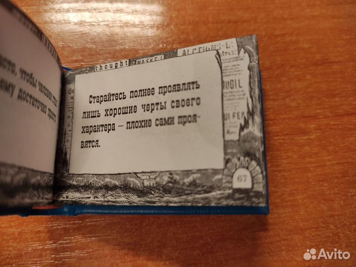 Афоризмы Шнейдер