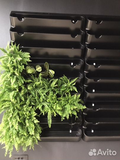 Фитомодуль