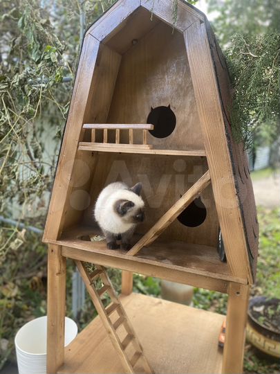 Дом 97,2 м² на участке 10 сот.