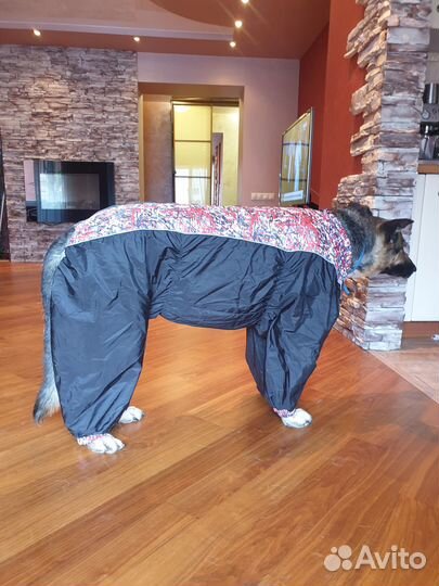 Дождевик для крупных собак, комбинезон