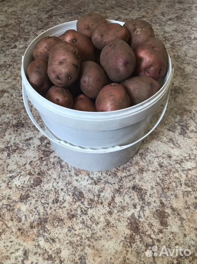 Продам картофель