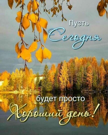 Свободного назначения, 15 м²