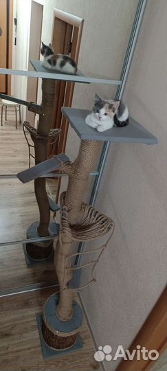 Когтеточка для кошек