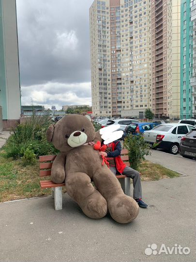 Плюшевый медведь