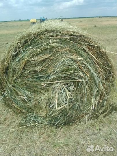 Сено в рулонах