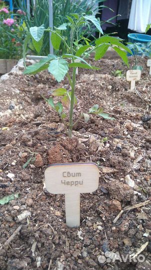 Топпер для рассады, растений