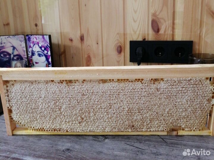 Медовые Соты Цветочные предгорные 2023