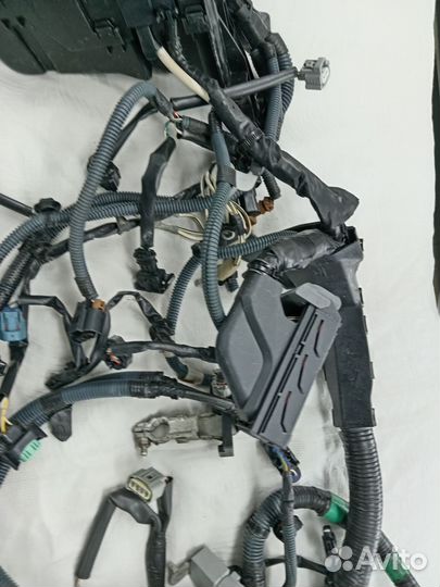 Подкапотная проводка Toyota Rav 4 (XA 30) 05-12