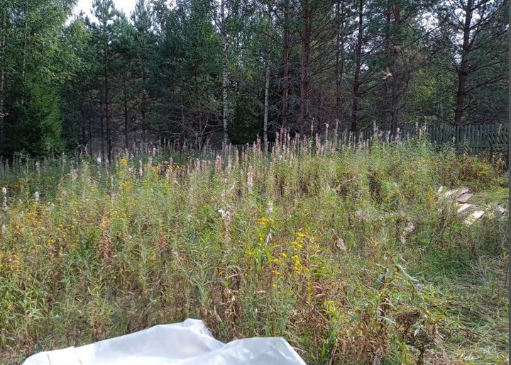 Участок 15 сот. (ИЖС)