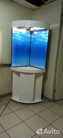 Аквариум 200 свет биофильтр фон подставка