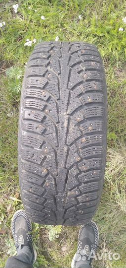 Автомобильные шины nokian hakkapellita 5