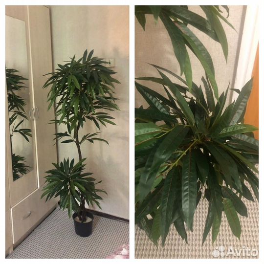 Искусственное дерево манго