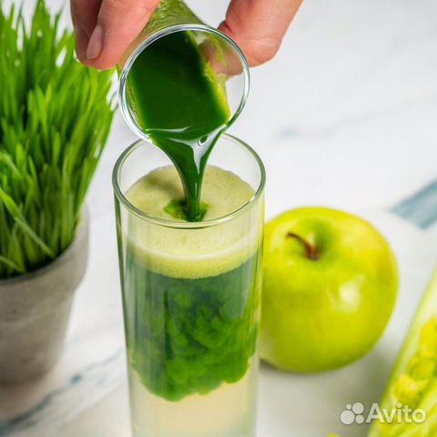 Сок из проростков пшеницы, Витграсс