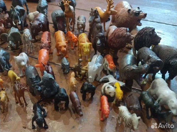 Животные домашние дикие