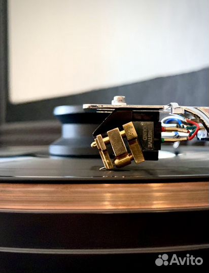 Amadeus абсолютно лучшая игла для винила все жанры