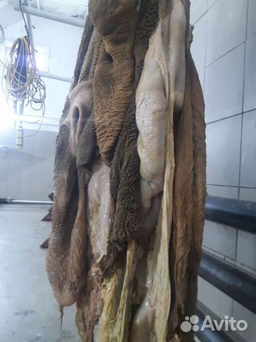 Субпродукты говяжьи