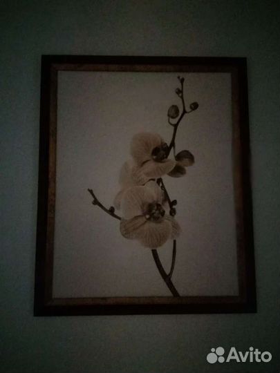 Картины - постеры, Эспандер и предметы интерьера