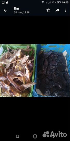 Лакомство для собак