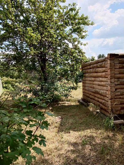 Участок 6 сот. (СНТ, ДНП)