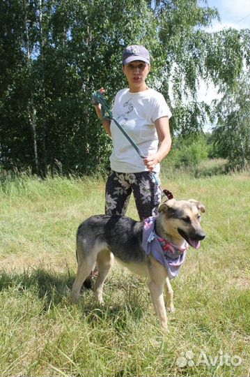 Собака в добрые руки отдам бесплатно