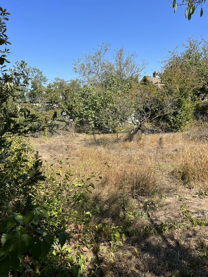 Участок 6,3 сот. (СНТ, ДНП)