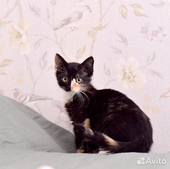 Так не бывает на свете, чтоб были потеряны дети