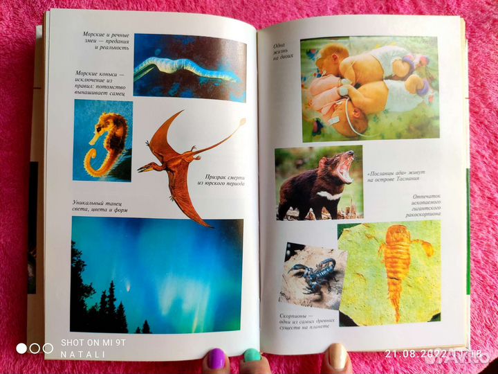 Познавательная литература