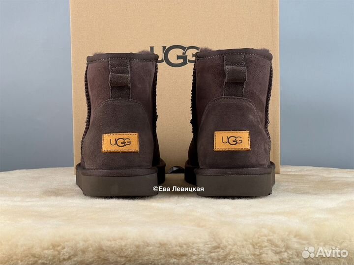 Угги мужские Ugg Mens Classic Mini II Chocolate