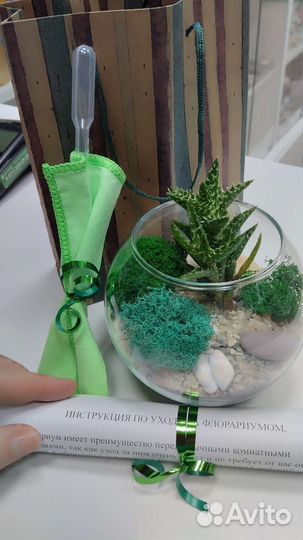 Флорариум. Подарок