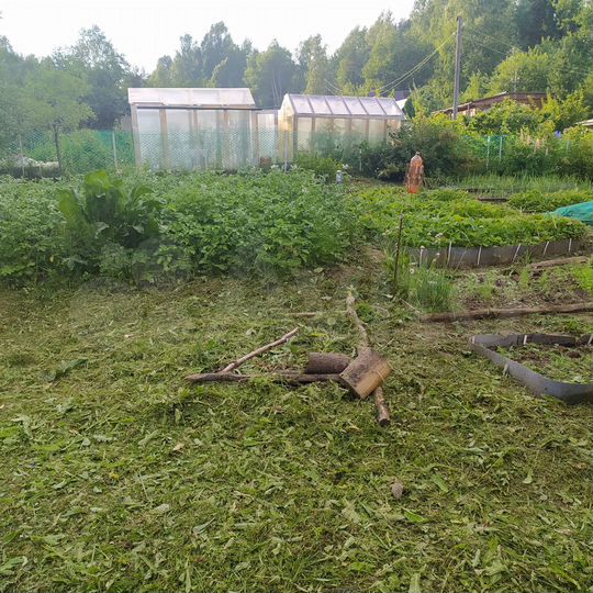 Участок 7,4 сот. (СНТ, ДНП)