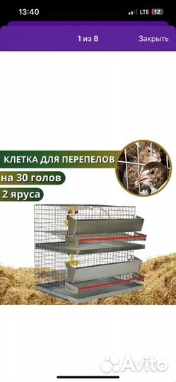 Клетка для перепелок