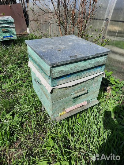 Улей для пчел