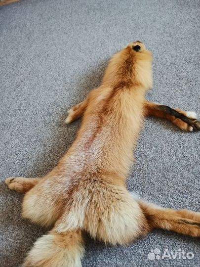 Шкурки соболей и лисы