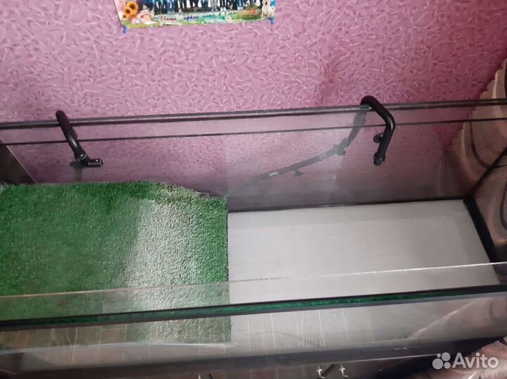 Аквариум,террариум