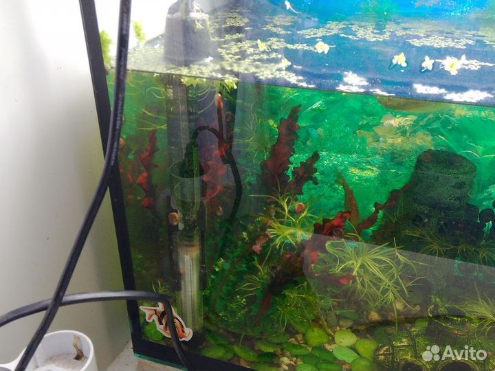 Аквариум с рыбками