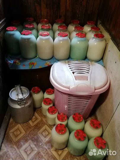 Сало в банках