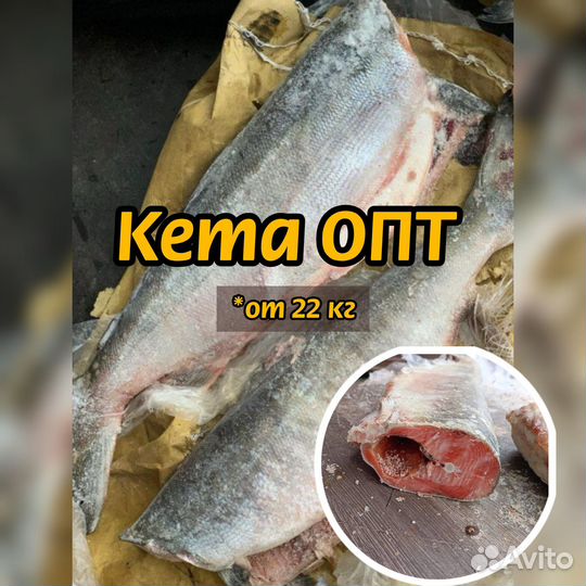 Кета опт свежемороженая