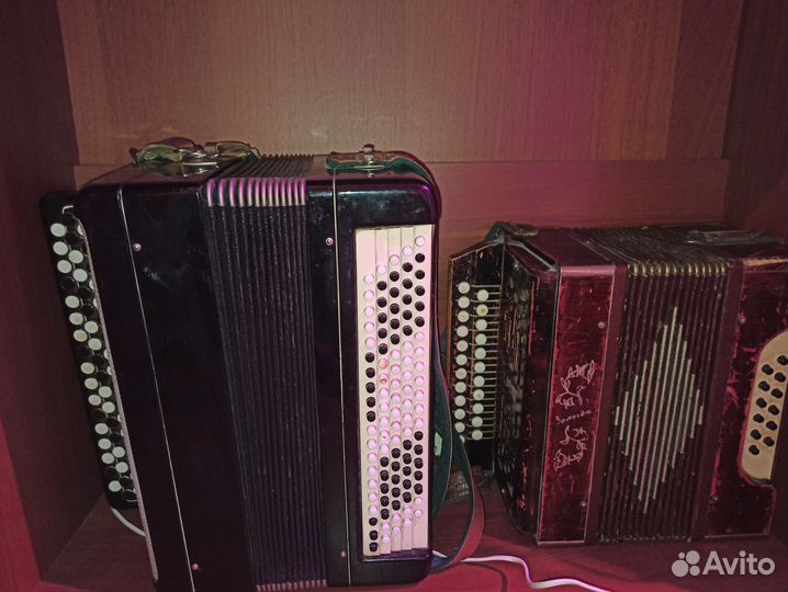 Баян + гармонь