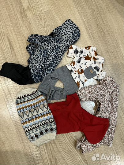 Одежда для собак мелких пород