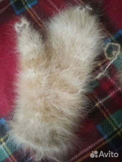 Варежки из пряденого собачьего пуха