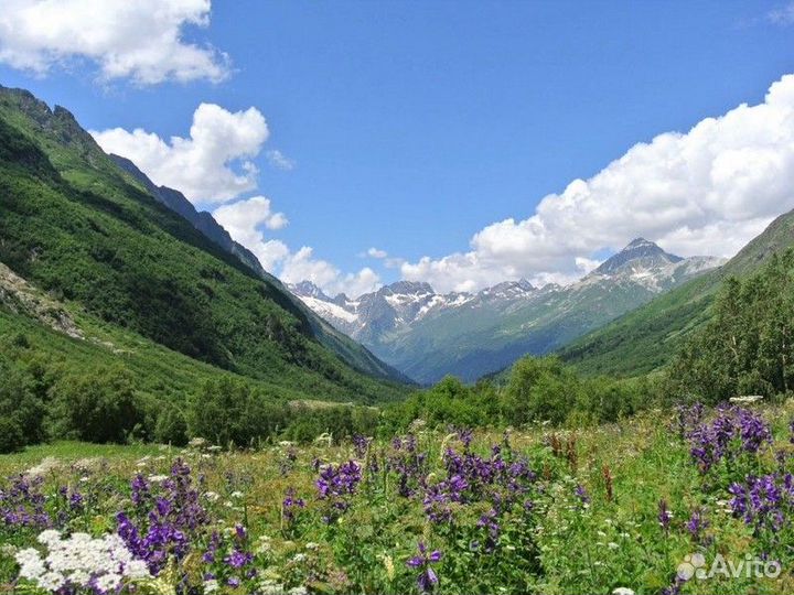 Экскурсия — Минеральные Воды — Домбай: люди, горы