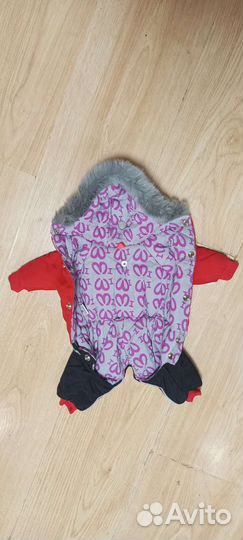 Комбинезон на мини и той-терьер