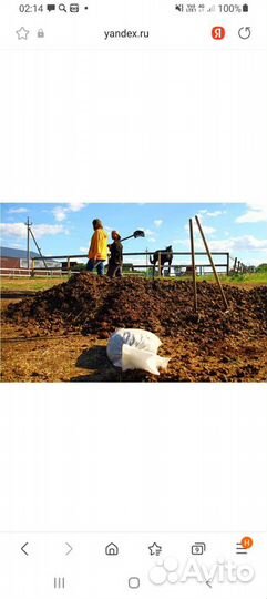 Конский навоз