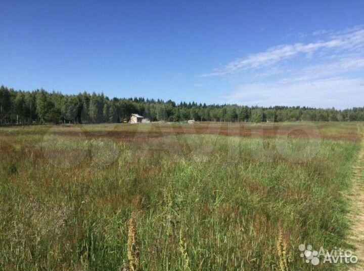 Участок 2,5 га (СНТ, ДНП)