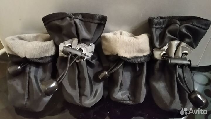 Ботиночки для собак