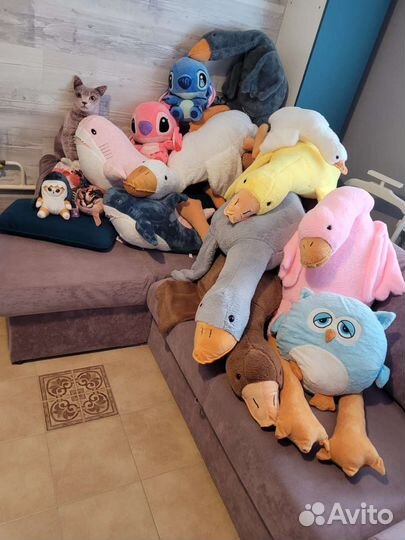 Гуси в разных расцветках, кот в акуле, сова, шлёпа