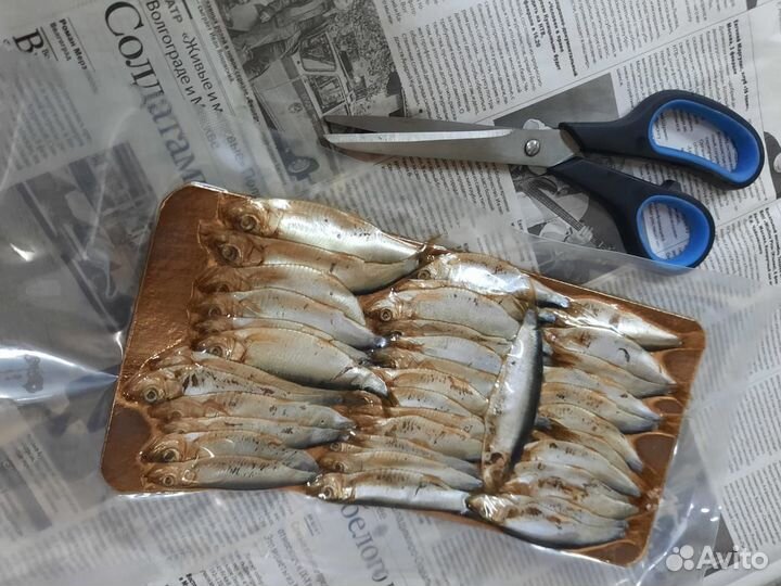 Жерех холодного копчения/Посылки из Астрахани