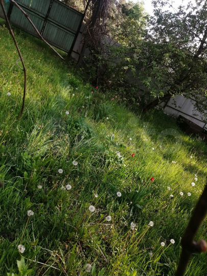 Дача 60 м² на участке 30 сот.